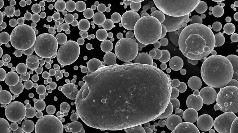 Scanning electron microscope image showing a larger central ellipsoid cell surrounded by numerous smaller spherical cells, all in high detail and monochrome.