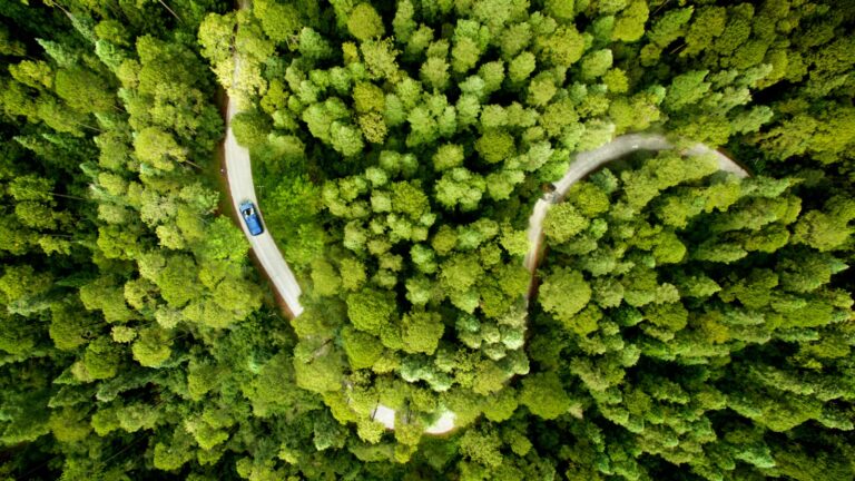 A winding road cuts through a dense green forest, with a blue car traveling along it. The image is taken from an aerial perspective.