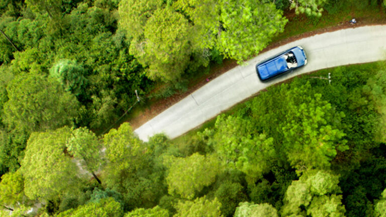 Aerial view of a blue car driving on a curved road through a dense green forest.