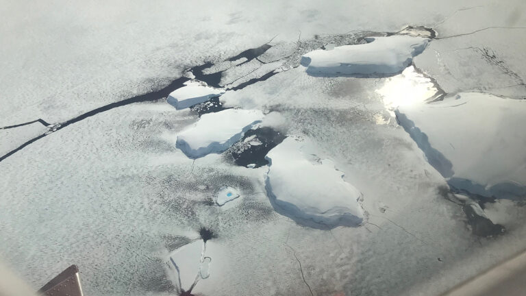 Aerial view of icebergs and sea ice in a polar region with sunlight reflecting on the water.