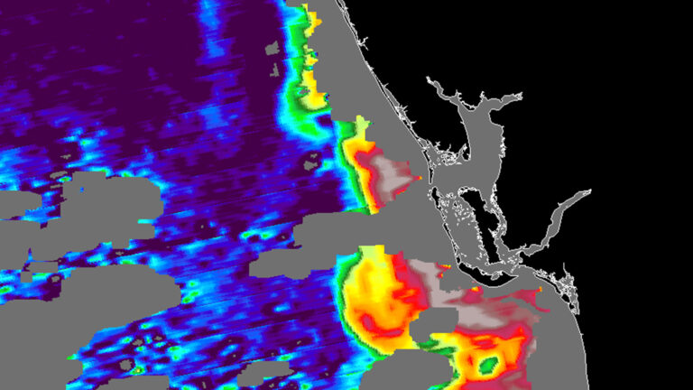 Solving Florida’s red tide mystery A weather radar image shows rainfall intensity along a coastline. Yellow, orange, and red indicate higher rainfall, while blue and purple show lower rainfall. Gray denotes land areas.