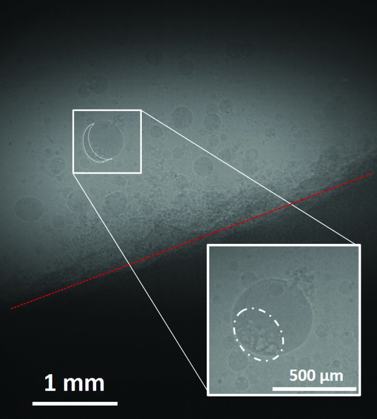 Safely improving jet, rocket fuels A white lines and a red line on a grey background.