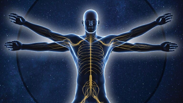 A digital illustration depicts a human figure with an exposed nervous system, extending arms and legs outward, set against a starry background.