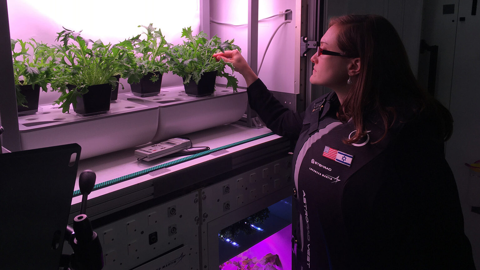 A person in a dark jacket examines potted plants under artificial lighting in a lab-like environment.