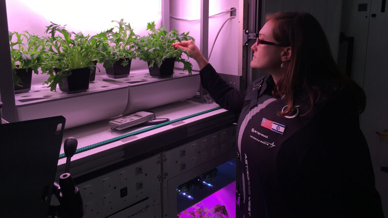 A person in a dark jacket examines potted plants under artificial lighting in a lab-like environment.