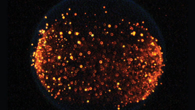 A densely packed cluster of glowing orange-red dots against a black background, resembling a cosmic scene with numerous small light sources of varying intensity.