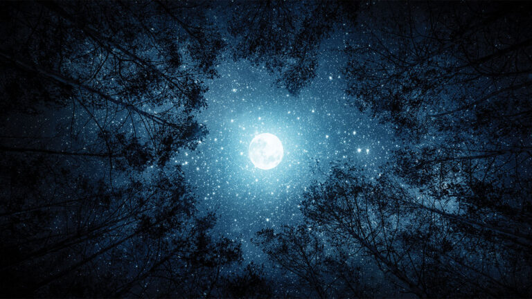 View of a full moon shining brightly through a circle of trees at night with stars visible in the sky.