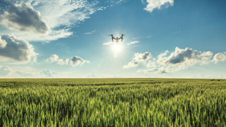 A drone hovers over a vast, green wheat field under a blue sky with scattered clouds and bright sunlight.