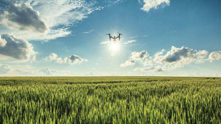 A drone hovers over a vast, green wheat field under a blue sky with scattered clouds and bright sunlight.