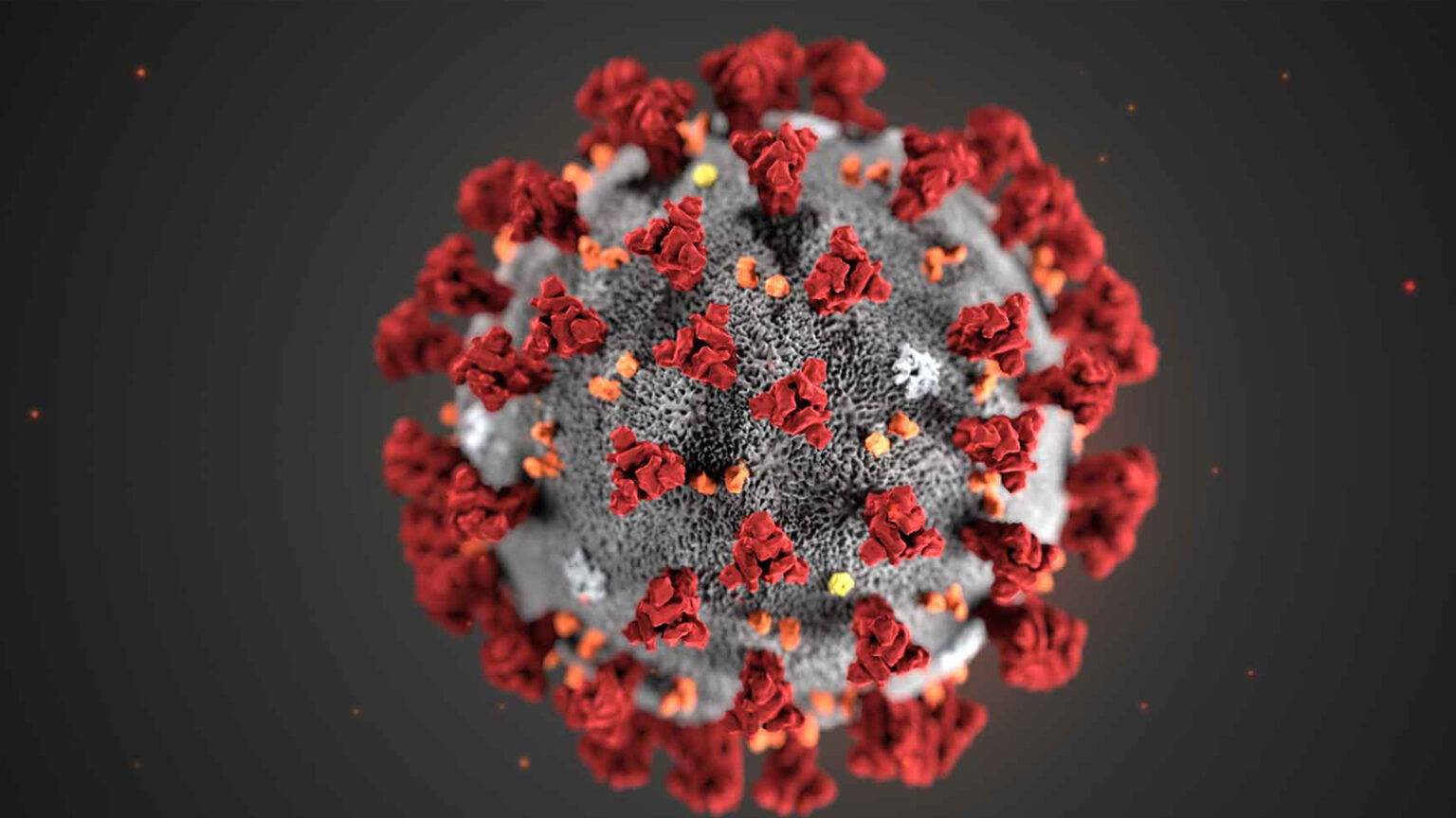 3D rendering of the SARS-CoV-2 virus showing a gray sphere with protruding red spike proteins.