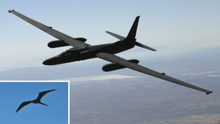 A black U-2 reconnaissance aircraft flies over a barren landscape. Inset shows a bird gliding in the sky.