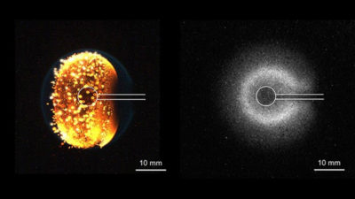 Steady progress in microgravity research leveraging diverse flight ...