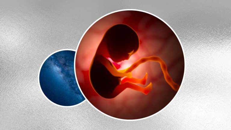 Illustration of a human fetus attached to an umbilical cord, overlaid on an image of a star-filled sky, symbolizing the connection between life and the universe.