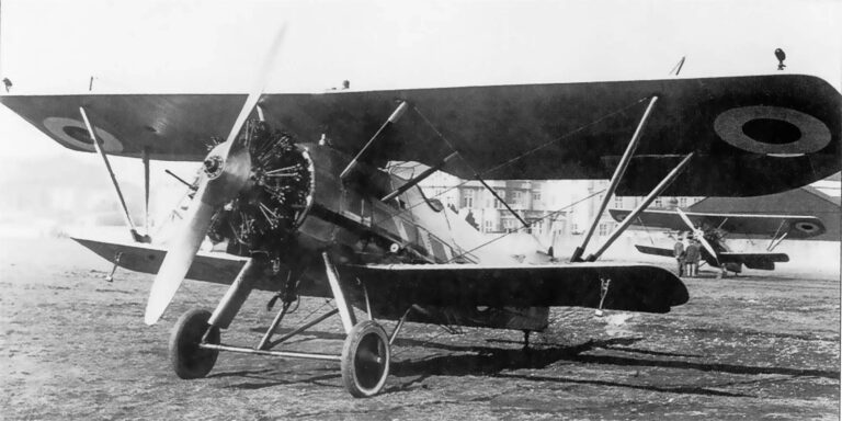 A vintage biplane with a radial engine and military roundel markings is parked on a grassy field, with another biplane in the background.