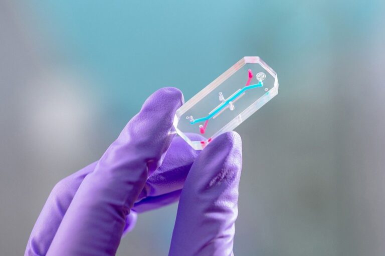 Artemis II tissue samples poised to transform how NASA studies space effects on humans